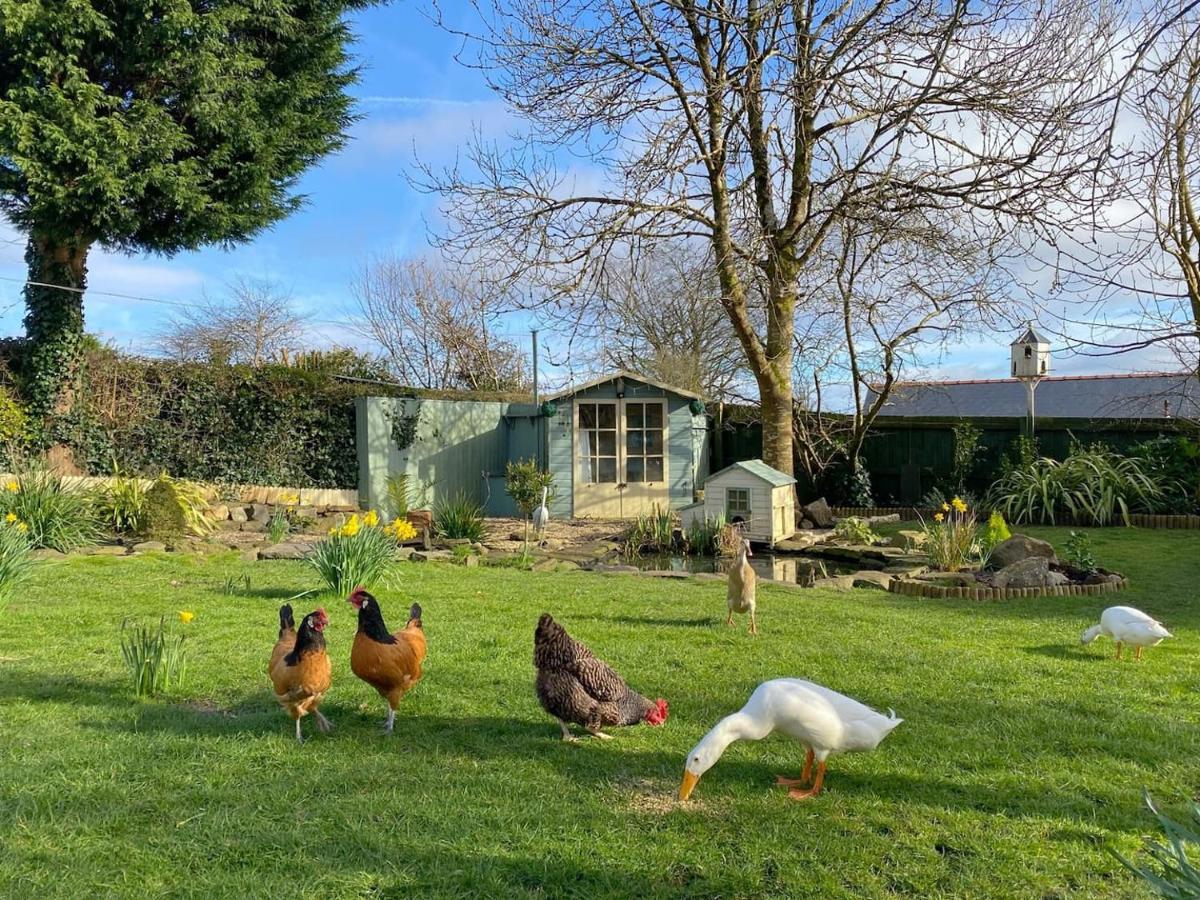 The Duck House Lejlighed Swansea Eksteriør billede
